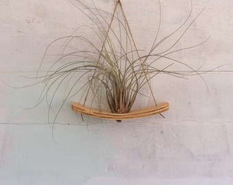 Mega Mini U-Bend Air Plant Wall Hanger, Air Plant Display, Hanging Wall Planter, Mini Wave, Air Plant Hanger, Small Plant Hanger