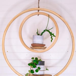 May include: A hanging wooden plant shelf with two circular shelves. Each shelf holds a small potted plant. The shelves are suspended by a natural rope against a white background. The plants have green leaves.