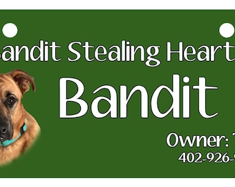 May include: Green dog tag with white text that reads "Bandit Stealing Hearts" and "Bandit".  The tag also includes the owner's name, "Traci", and phone number, "402-926-9920". A photo of a brown dog with a blue collar is in the upper left corner.