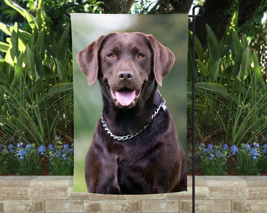 Chocolate Lab Garden Flag, Garden Flag, Yard Flag, Yard Decor