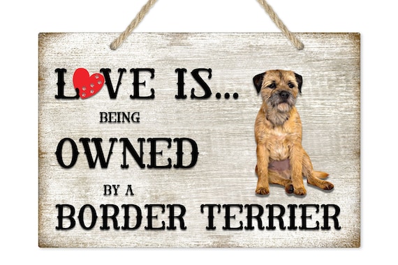 Border terrier presents sales