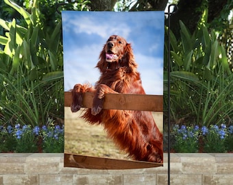 Irish Setter Garden Flag: Double-Sided Yard Decor (12x18")