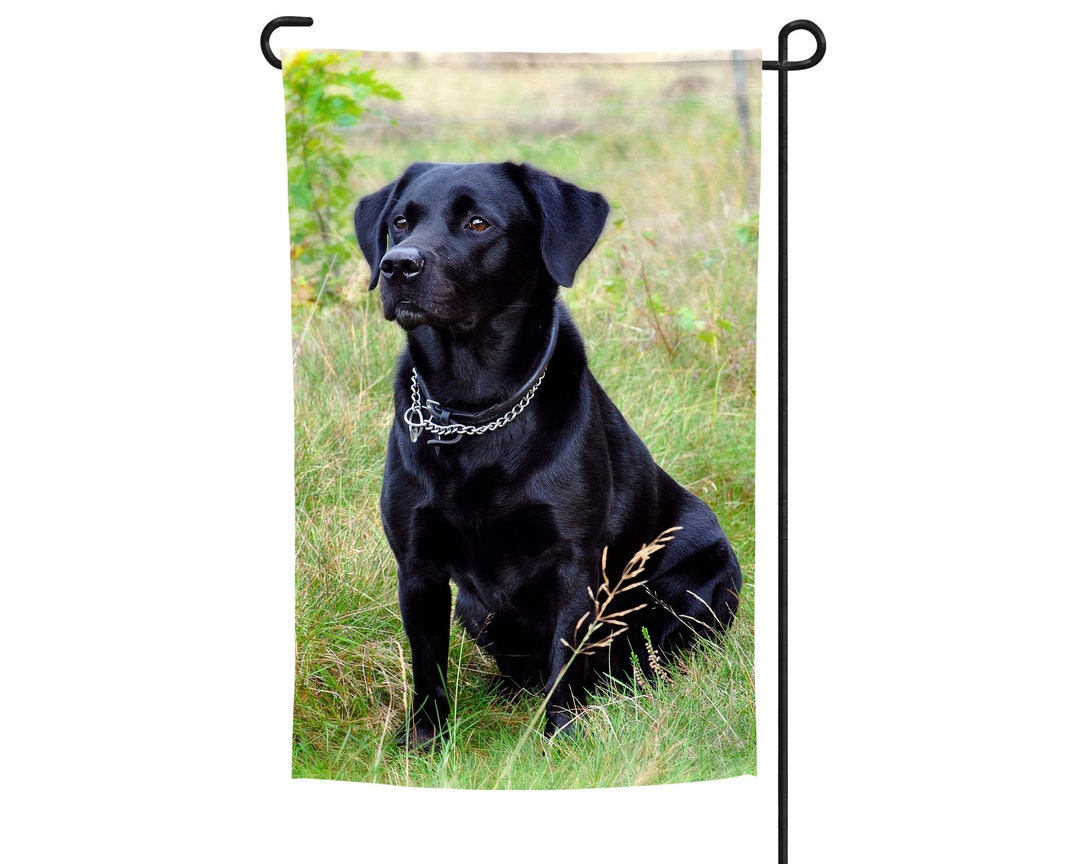 Black Lab Garden Flag, Garden Flag, Yard Flag, Yard Decor, Black