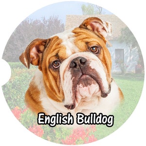 English Bulldog Car Coasters: Sandstone Cup Holder Set