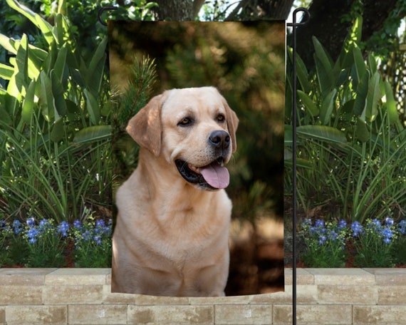 Yellow lab sale gifts