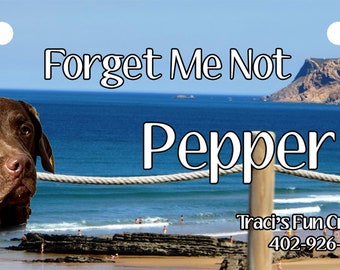 May include: A brown dog with the name "Pepper" on a dog tag. The tag has a beach scene with the words "Forget Me Not" and the text "Traci's Fun Creations 402-926-9920".