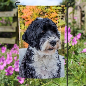Portuguese Water Dog Garden Flag: Double-Sided Yard Decor
