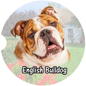 English Bulldog Car Coasters: Sandstone Cup Holder Set