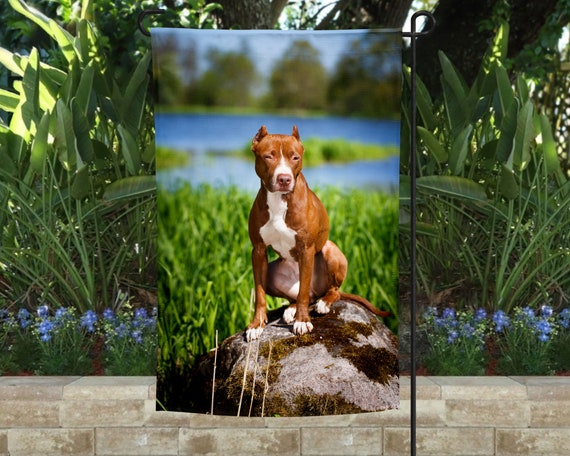Pitbull Puppy Garden Flag Pitbull Puppy Garden Flag
