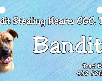 May include: A blue dog tag with a brown dog's head in the upper left corner. The text "Bandit Stealing Hearts CGC, TKN" is at the top. The name "Bandit" is in large white letters in the center. The text "Traci Bayus" and the phone number "402-926-9920" are at the bottom.