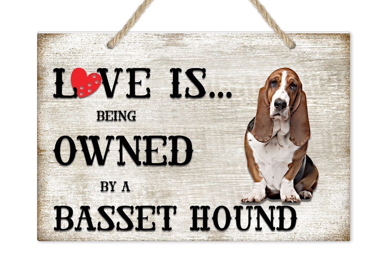 Are Basset Hounds Loving