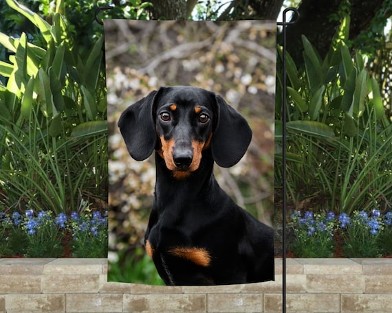 Dachshund Garden Flag Dachshund Garden Flag