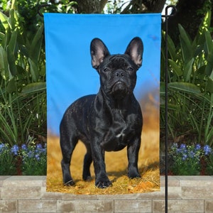 French Bulldog Garden Flag: Double-Sided Yard Decor (12x18 inch)