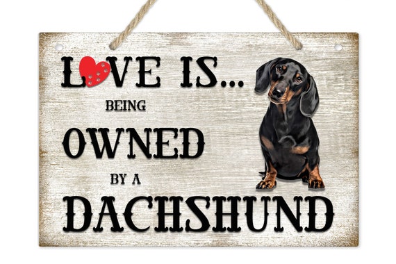 Love is Being Owned by a Dachshund Dog Breed Themed Sign