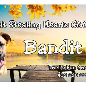 Picture of Dog Crate Tags Personalized Photo Crate Tag Personalized Dog Crate Tag ...