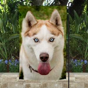 Siberian Husky Garden Flag: Double-Sided Yard Decor (12x18)