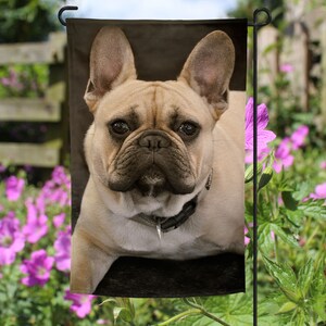 French Bulldog Garden Flag: Double-Sided Yard Decor (12x18)
