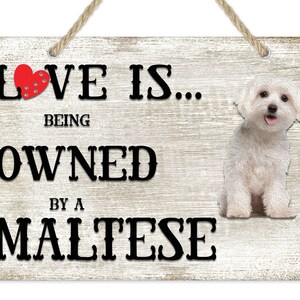 Maltese Dog Breed Themed Sign: Pet Lover Gift