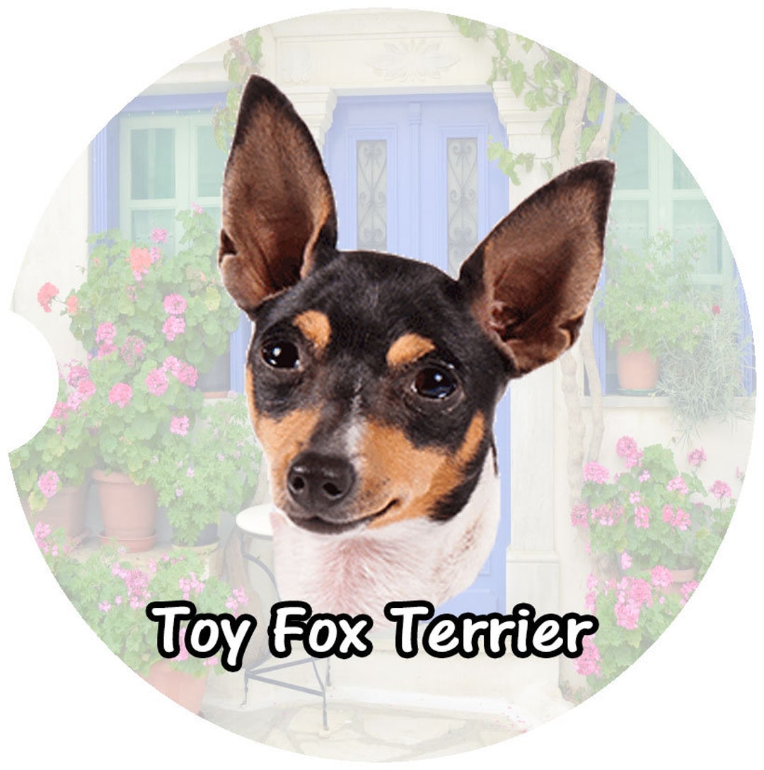 Toy Fox Terrier Sandstone Car Coasters,toy Fox Terrier Coasters,car
