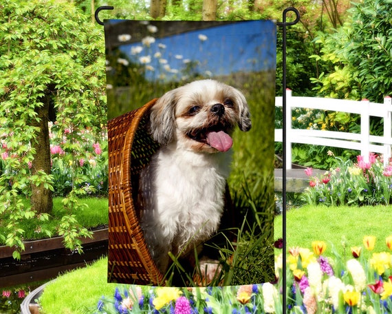 Shih tzu gifts cheap