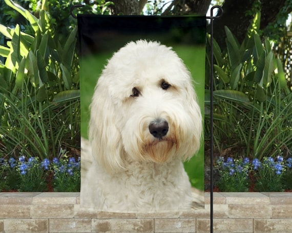 Goldendoodle Garden Flag Goldendoodle Garden Flag