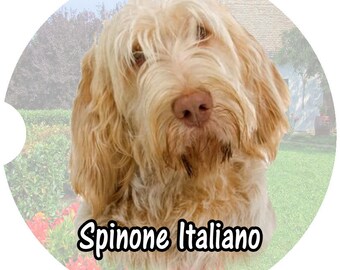 Spinone Italiano, Car Coasters, Spinone Italiano Dog, Spinone Italiano Gifts, Sandstone Coasters, Car Coaster, Cup Holder Coaster