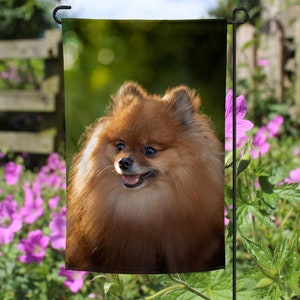 Pomeranian garden flag, garden flag, yard flag, yard decor, Pomeranian, Pomeranian Lover, Dog Garden Flags