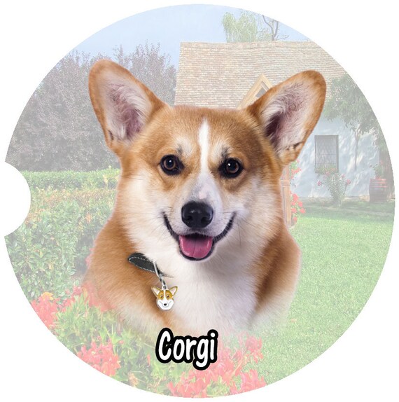 Corgi coasters top