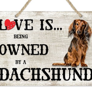 Love is being owned by a Dachshund Dog Breed Themed Sign, Dachshund Gift, Dog Sign, Pet Sign, Dog Lover Gift,