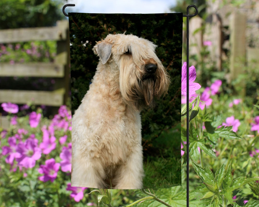 Soft Coated Wheaten Terrier Garden Flag, Garden Flag, Yard Flag, Yard