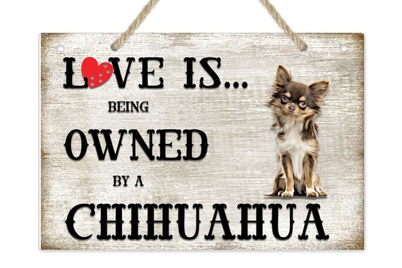 Love is Being Owned by a Chihuahua Dog Breed Themed Sign