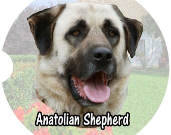May include: A close-up of an Anatolian Shepherd dog with a light brown and tan coat. The dog has a black nose and dark brown eyes. The dog is looking directly at the camera with its mouth open and tongue sticking out. The dog is in front of a blurred background of green grass and a house.