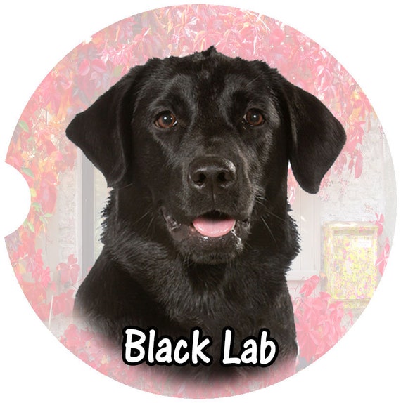Labrador coasters clearance