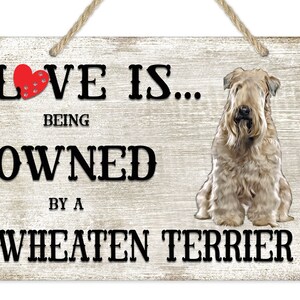 May include: A wooden sign with a whitewashed background and black text that reads "Love is... being owned by a Wheaten Terrier". A red heart with white paw prints is above the word "Love". A Wheaten Terrier dog is pictured on the right side of the sign.
