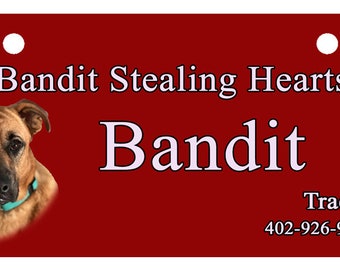 May include: Red dog tag with a photo of a brown and black dog with a blue collar. The text on the tag reads "Bandit Stealing Hearts" and "Bandit". The tag also includes the name "Traci" and the phone number 402-926-9920.