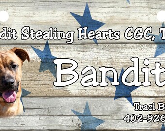 May include: A brown and tan dog with a pink tongue sticking out. The dog is in front of a wooden background with blue stars. The text "Bandit Stealing Hearts CGC, TKN" is at the top of the image. The text "Bandit" is in the center of the image. The text "Traci Bayus 402-926-9920" is at the bottom of the image.