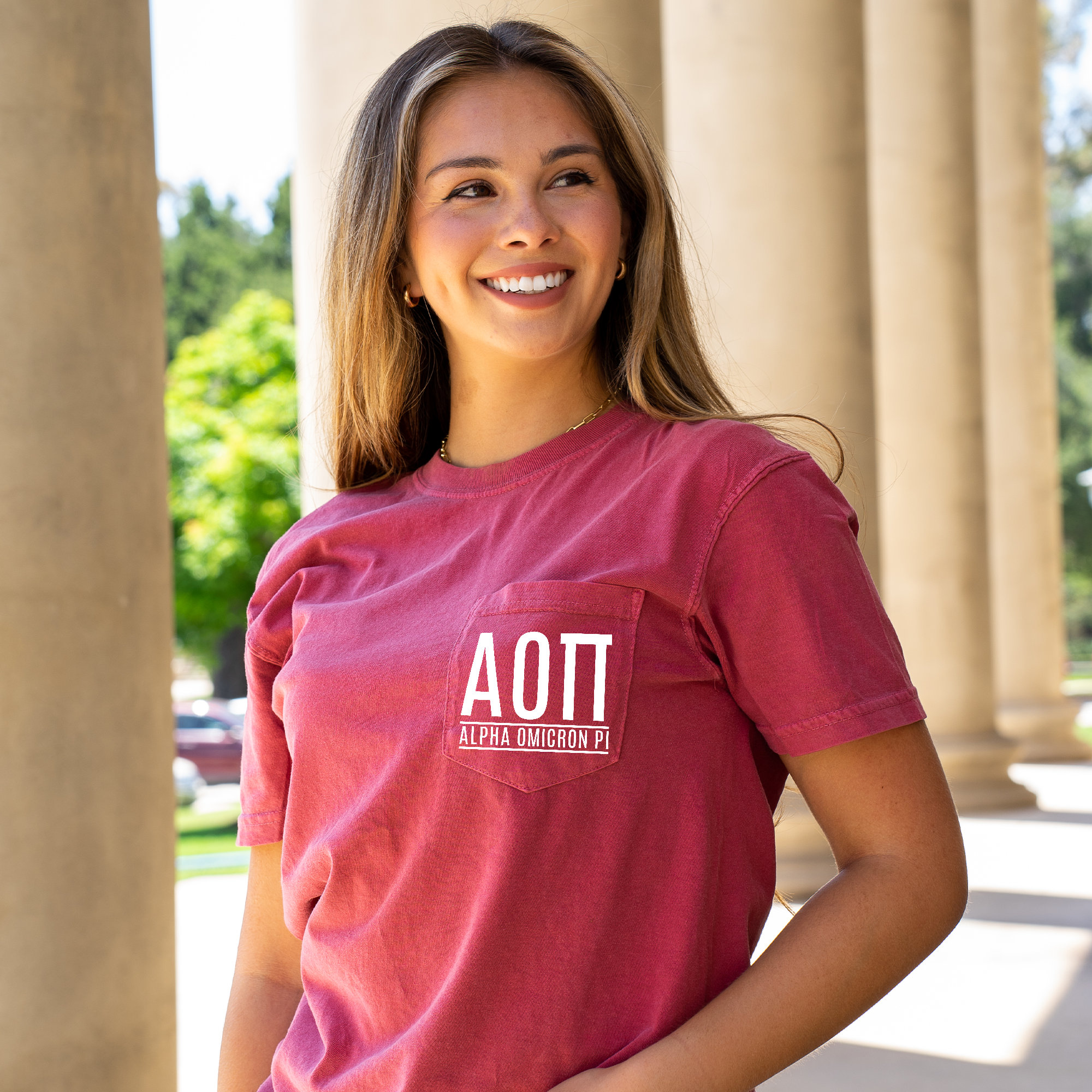 Alpha omicron pi t shirts discount