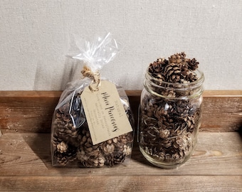Mini Pinecones, Unscented, Naturally Dried