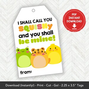 Printable Mochi Squishy Valentines Card, Squishies Valentine Gift Tag Squishy Valentine Card Printable, Squishy Toy Classroom Valentines Tag