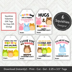Printable Mochi Squishy Valentines Card, Squishies Valentine Gift Tag Squishy Valentine Card Printable, Squishy Toy Classroom Valentines Tag