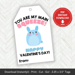 Printable Mochi Squishy Valentines Card, Squishies Valentine Gift Tag Squishy Valentine Card Printable, Squishy Toy Classroom Valentines Tag
