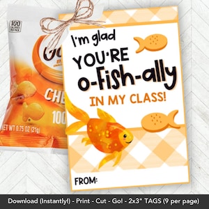 May include: A snack-sized bag of cheddar cheese crackers is paired with a gift tag. The tag features a goldfish illustration and the text "I'm glad you're o-fish-ally in my class!" with a gingham border. A twine bow is attached.