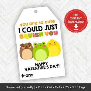 Printable Mochi Squishy Valentines Card, Squishies Valentine Gift Tag Squishy Valentine Card Printable, Squishy Toy Classroom Valentines Tag