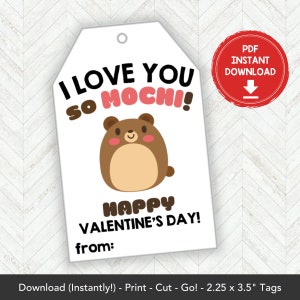 Printable Mochi Squishy Valentines Card, Squishies Valentine Gift Tag Squishy Valentine Card Printable, Squishy Toy Classroom Valentines Tag