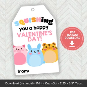 Printable Mochi Squishy Valentines Card, Squishies Valentine Gift Tag Squishy Valentine Card Printable, Squishy Toy Classroom Valentines Tag