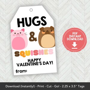 Printable Mochi Squishy Valentines Card, Squishies Valentine Gift Tag Squishy Valentine Card Printable, Squishy Toy Classroom Valentines Tag