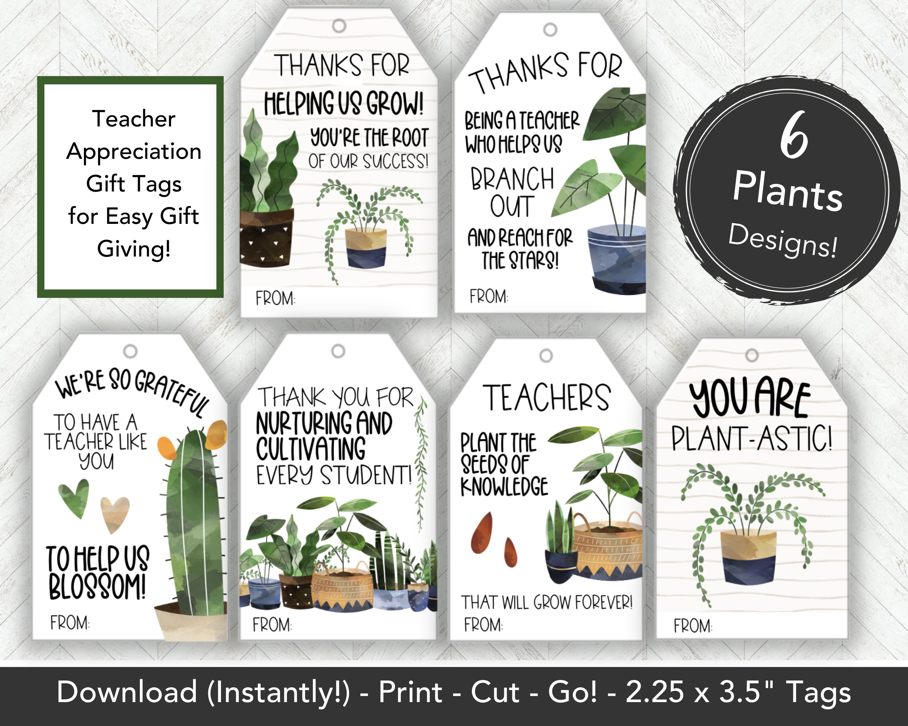 Top Teacher Plant Markers, Teacher Gift, End of Term Present, Funny  Gardening Puns, Made in UK, Free UK Postage, Wooden Engraved Stakes 