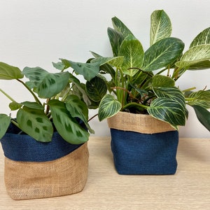 May include: Two potted plants in blue and burlap fabric planters. The plant on the left has dark green leaves with white spots. The plant on the right has light green leaves with white stripes.