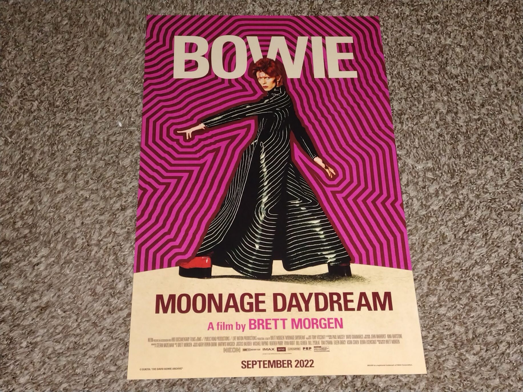 Insegna Metallica Vintage Henson David Bowie Moonage Daydream - 30x20 Cm, Latta, Per Parete, Bar, Garage