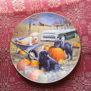 Vintage Franklin Mint Royal Doulton Pumpkin Patch Pups Collectors Plate